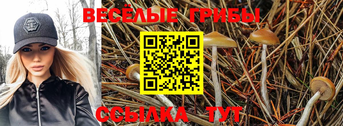 Псилоцибиновые грибы мухоморы Лысьва